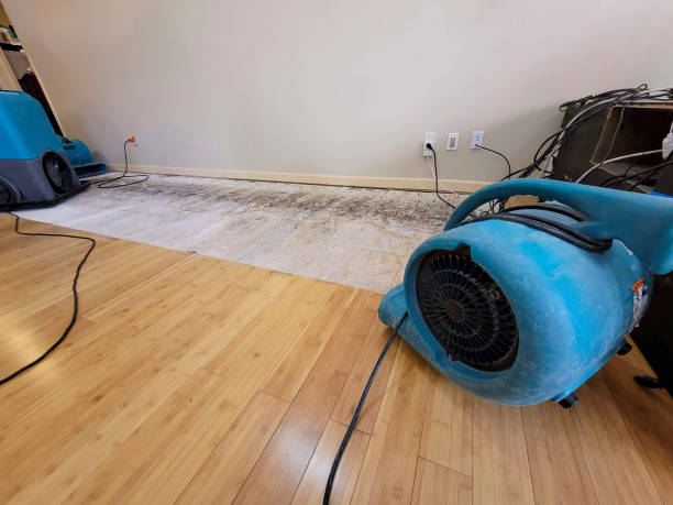 Professional Water Extraction technician working in Franklin, NJ